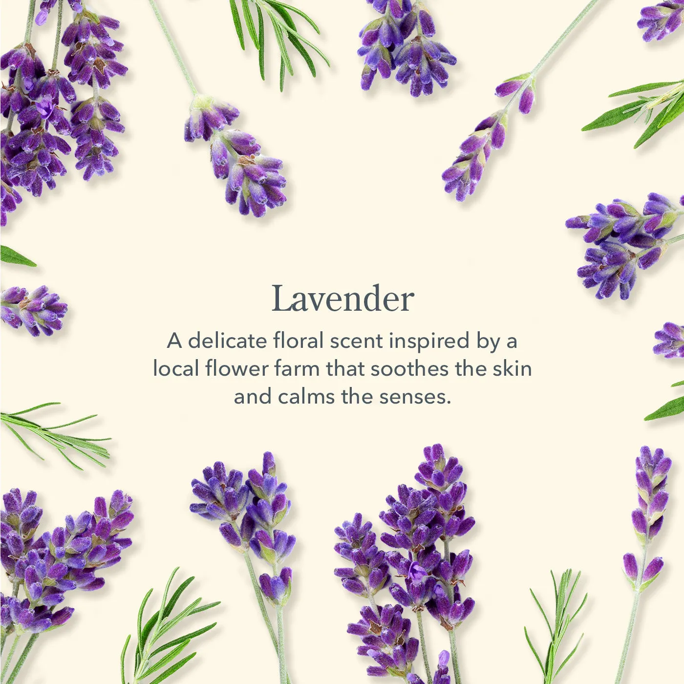 Lavender Hand & Body Wash