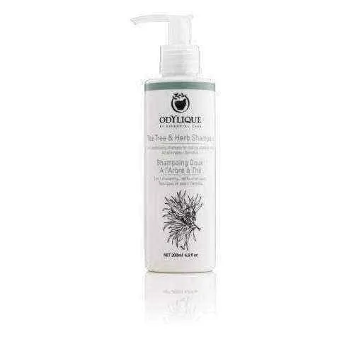 Odylique Shampoo from tea tree and herbs 200ml, tea tree shampoo