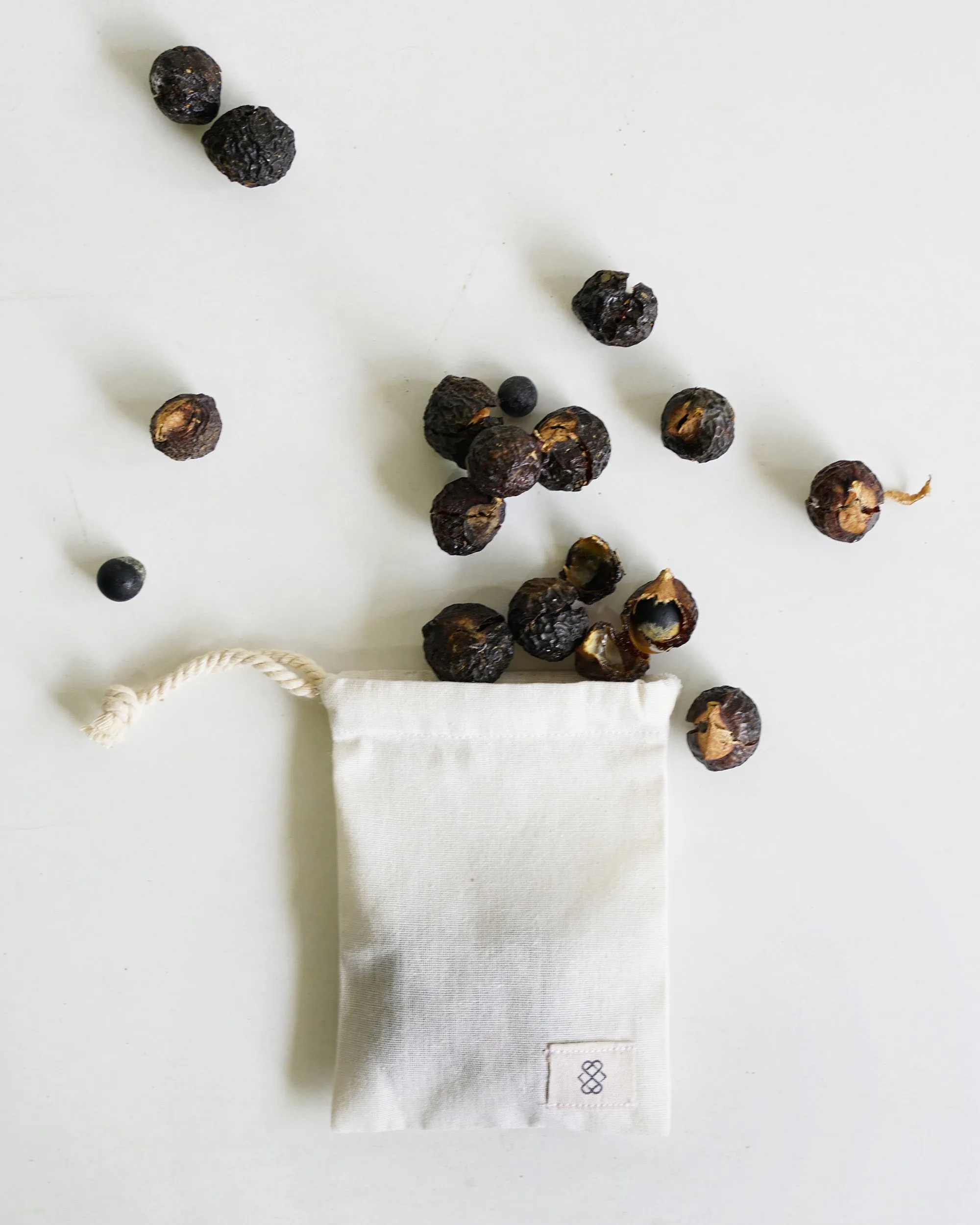 Organic Soapnuts (Eco-Laundry Detergent)